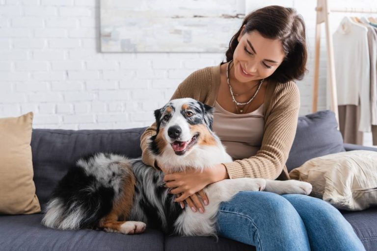 Tener mascota es una motivación extra para apostar por la limpieza en casa